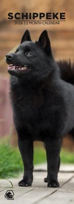 Schipperke Slimline Kalender 2026