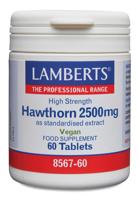 Lamberts Crataegus 2500mg (hawthorn)