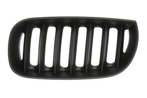 Radiateurgrille 6502070093995P