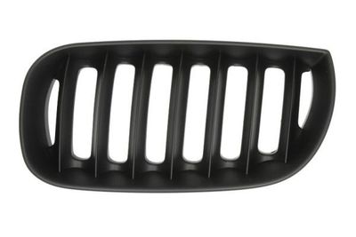 Radiateurgrille 6502070093995P