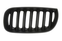 Radiateurgrille 6502070093995P