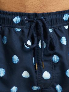 DEDICATED / Zwembroek Swim Shorts in blauw