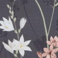 Luxe zitkussen ca. 40x40 cm Donna grey canvas Eco plus natural outdoor finishing (4 stuks) Madison - Madison