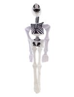 Opblaasbaar Skelet Geraamte 90cm