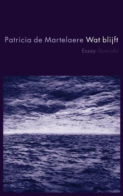 Wat blijft - Patricia de Martelaere - ebook