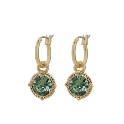 Biba Hang Oorbellen Goud met Swarovski Steentje Erinite