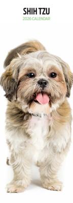Shih Tzu Kalender 2026 Slimline