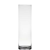 Vaas - transparant - H50 x D15 cm - glas - cilinder vorm - vazen - bloemenvaas