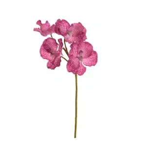 Vanda orchideebundel x5 l62cm lvndl