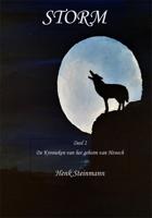 Storm (Paperback)