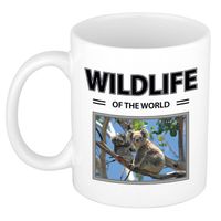 Foto mok Koala mok / beker - wildlife of the world cadeau Koala's liefhebber - feest mokken