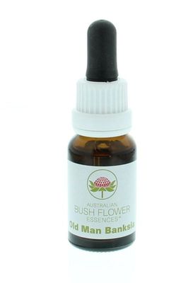 Old man banksia