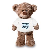 Spoiler alert boy aankondiging jongen pluche teddybeer knuffel 24 cm - Knuffelberen - thumbnail