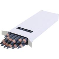 EDU3 Edu jumbo kleurpotlood, dikte 10 mm, vulling 6,25 mm, grijs, 12 stuk/ 1 doos