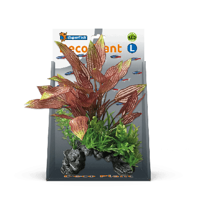 Superfish deco plant l henkelianus - Superfish