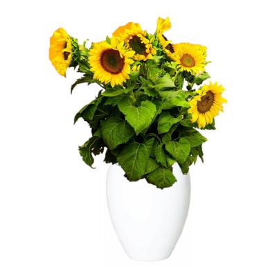 Bloemen vaas - wit - D25 x H28 cm - keramiek - bloemenvaas - bloempot
