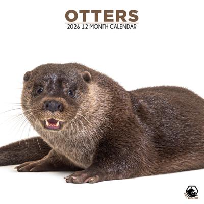 Otter Kalender 2026