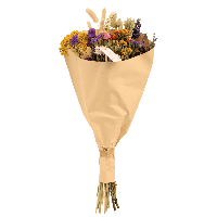 Droogbloemen Field Bouquet Multi - Ø25cm - ↕60cm - Ø25 - ↨60cm