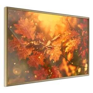 Ingelijste Poster - Gouden Bladeren, Herfst, Goudkleurige lijst