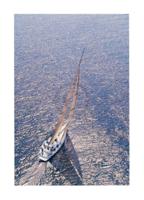Kunstdruk Ingrid Abery - Silver Sea II 50x70cm