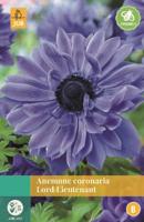Anemone Coronaria Lord Lieutenant blauw 15 bloembollen Anemoon JUB - Jub