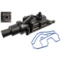 thermostaat 108756