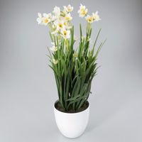 Plantje in kunststof pot Narcis wit - Oosterik Home - thumbnail