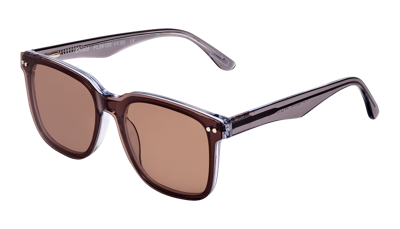 Leesbril Frank and Lucie met zonneclip Eyewant-FL34100-Shield-+2.00