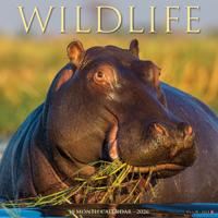 Wildlife Kalender 2026