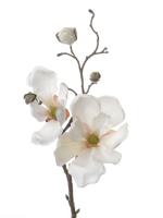 Magnoliatak Beverboom kort met 2 bloemen dia. 10 cm/dia. 7 cm & 4 knoppen 48 cm kunstbloem Top Art - Top art