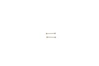 Universeel Bandbevestigingspennen (bol) T-BAR-SCBLR22 - 22mm - 2 stuks Universeel Bandbevestigingspennen (bol) T-BAR-SCBLR22 - 22mm - 2 stuks