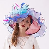 Organza / Veren Kentucky Derby Hat / fascinators / Hoofdtooi met Veer / Bloem / Gelaagd 1 PC Bruiloft / Buiten / Paardenrace Helm Lightinthebox - thumbnail