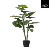 Kunstplant Taro in pot d70h100cm groen - thumbnail