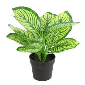 Kunstplant Calathea in bloempot - Groen - 15 x 28 cm