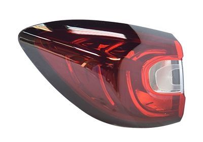 Achterlicht 4384921