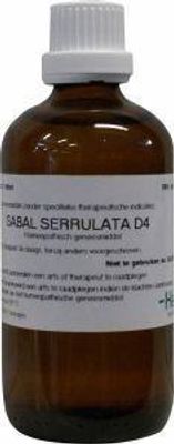 Sabal serrulata D4
