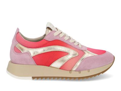 Piedi Nudi Vava 01.14 pink gold Roze maat 39