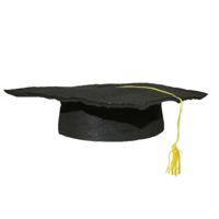 Geslaagd thema hoedje voor kinderen - verkleed feestartikelen - afstudeer hoedje - zwart
