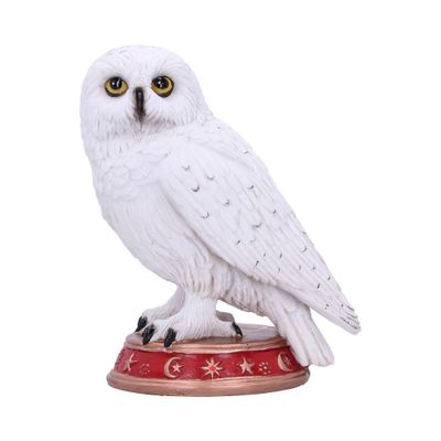 Nemesis Now Beeld Wizards Familiar Uil - 10 cm