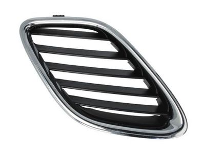 Radiateurgrille 6502076522994P