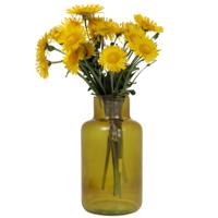 Floran Bloemenvaas Milan - transparant oker geel glas - D15 x H25 cm - melkbus vaas met smalle hals   -