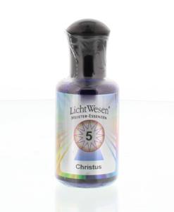 Lichtwesen Christus olie 5