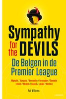 Onze Belgen in de Premier League - Raf Willems - ebook