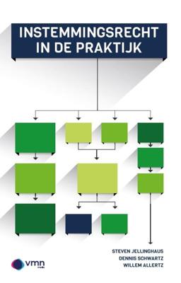 Instemmingsrecht in de praktijk (Paperback)
