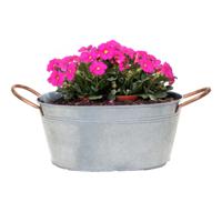 Plantenpot/bloempot teil Jean - ovaal - zink - zilver - L31 x D20 X H15 cm