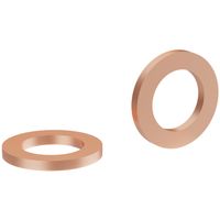 Elvedes afdichtring klein voor hope slang (10x) elv-hp04