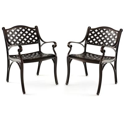 Set van 2 Tuinstoelen van Gegoten Aluminium Weerbestendige Terrasstoelen met Armleuningen Balkonstoelen voor Tuin Balkon Achtertuin