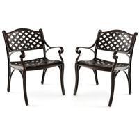 Set van 2 Tuinstoelen van Gegoten Aluminium Weerbestendige Terrasstoelen met Armleuningen Balkonstoelen voor Tuin Balkon Achtertuin
