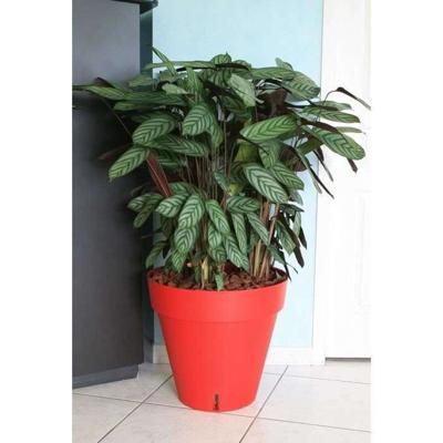 RIVIERA Loft bloempot met waterreserve - Rond - Ø 50 x H 46 cm - Rood