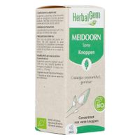 Herbalgem Meidoorn Bio Spray 15ml